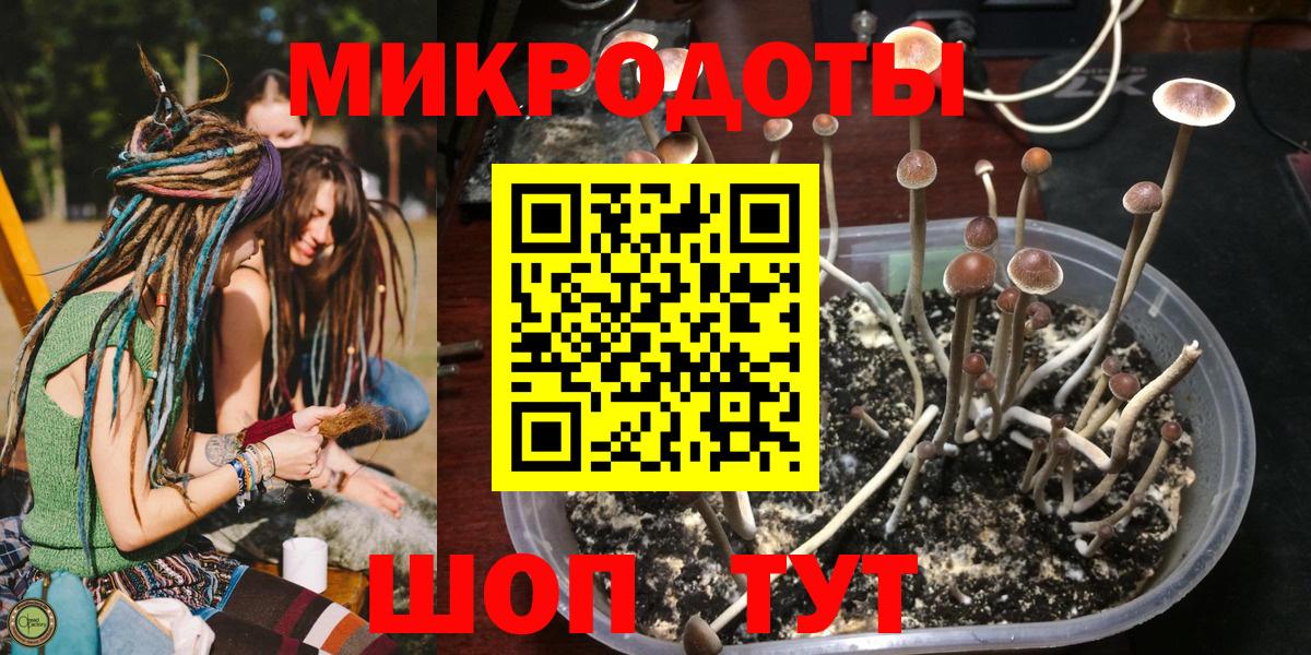 Галлюциногенные грибы мухоморы Обнинск