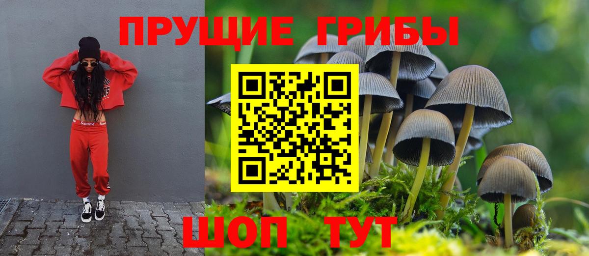 Обнинск  Галлюциногенные грибы мицелий  Вход с VPN  Псилоцибиновые грибы прущие грибы 